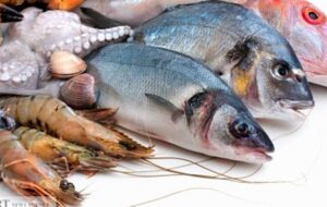 نخستین جشنواره طبخ ماهی در ماهنشان برگزار می‌شود