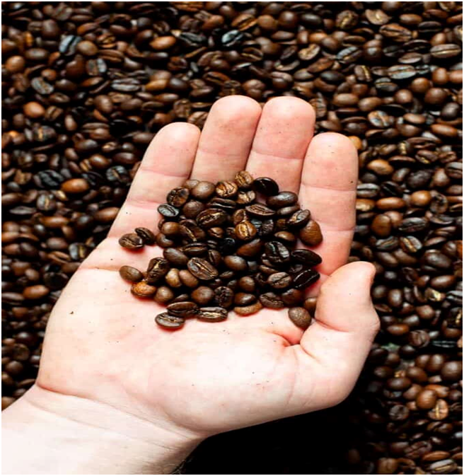 دنیای وسیع خرید قهوه و لذت بی پایان آن