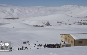 شناسایی نقاطی با بارش 4.5 متر برف در کوهرنگ/ 15 درصد مساحت ایران سفید پوش شد