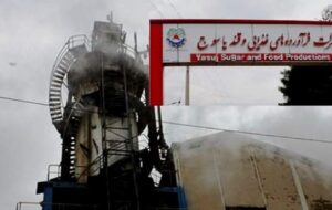 مادر صنعت یک استان منتظر تدبیر بانک تجارت ایران/ عزم جهادی ستاد اجرایی در راه‌اندازی کارخانه قند یاسوج