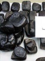 کشف و ضبط 21 کیلوگرم تریاک توسط پلیس مبارزه با مواد مخدر دنا