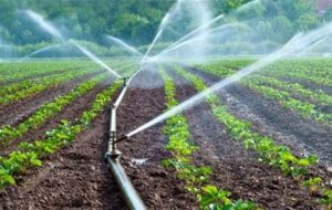 آخرین وضعیت طرح‌های کشاورزی گچساران/ از پرداخت مطالبات پیمانکاران تا ساخت ایستگاه‌‌های پمپاژ آب