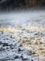 آماده‌باش دستگاه‌های اجرایی کهگیلویه جهت مقابله با بحران احتمالی بارش‌ها