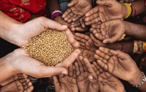 راه ساده جلوگیری از قاچاق گندم در کهگیلویه که مورد توجه قرار نمی گیرد