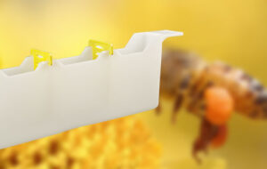 شربت خوری قابی مطمئن ترین روش برای تغذیه زنبورهای عسل