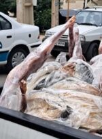 کشف 4 تن گوشت فاسد در کهگیلویه و بویراحمد