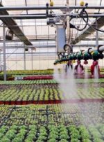 ۴۷ طرح کشاورزی در استان قزوین به بهره‌برداری می رسد