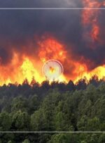 آماری نگران کننده از آتش‌سوزی در باغات گچساران