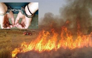 دستگیری عوامل آتش‌سوزی‌های عمدی در کهگیلویه