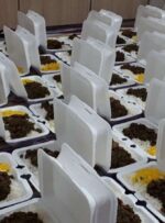 رزمایش غدیر احسان در کهگیلویه و بویراحمد با پخت ۴۰ هزار پرس غذای گرم