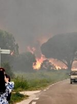 آتش سوزی جنگلی در فرانسه ۳۰۰۰ گردشگر را مجبور به ترک منطقه کرد