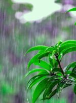 پیش‌بینی بارش‌های رگباری در کهگیلویه و بویراحمد از روز دوشنبه