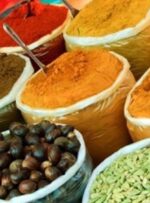 کشف 8 تُن انواع گیاهان دارویی خارجی قاچاق در اصفهان