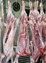 9 هزار تن گوشت عشایری به زودی وارد بازار می‌شود