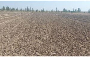 نوید باران‌های پاییز و آغاز طرح کاشت یک میلیارد درخت در خراسان‌جنوبی