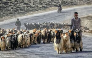 نیاز مبرم 510 خانوارعشایری باشت چیست؟