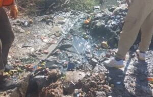 پاسخ شهرداری یاسوج به یک کلیپ و میوهفروشانی که از 7 دنیا آزادند! پاسخ شهرداری یاسوج به یک کلیپ و میوهفروشانی که از 7 دنیا آزادند!