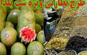 آخرین وضعیت عرضه میوه تنظیم بازاری شب یلدا در باشت