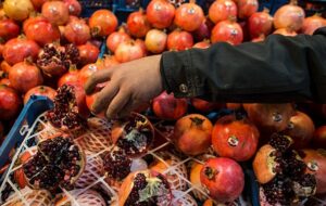 تشدید بازرسی‌ و نظارت‌ بر بازار ویژه شب یلدا در شهر یاسوج