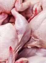 چرا قیمت مرغ در کهگیلویه و بویراحمد از سایر استان‌ها گرانتر است؟
