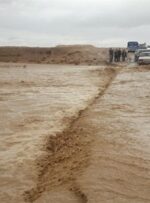 دولت سریعا اعتبارات لازم برای جبران خسارت مناطق سیل زده خراسان جنوبی را تخصیص دهد