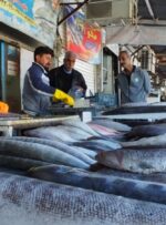 تیغ بازار «ماهی‌فروشان» گچساران در گلوی مردم+ تصاویر