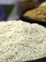 عدم نظارت جهاد کشاورزی منجر به تلاطم در بازار برنج شده است/سودجویان به دنبال کاهش انگیزه برنجکاران هستند
