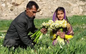 سفری زمستانی به بهار نرگسزارهای گچساران+ فیلم سفری زمستانی به بهار نرگسزارهای گچساران+ فیلم