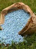 اطلاعیه شرکت خدمات حمایتی کهگیلویه و بویراحمد اطلاعیه شرکت خدمات حمایتی کهگیلویه و بویراحمد