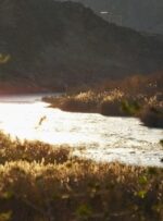 جلوههای زیبای «رودخانه زهره» در گچساران جلوههای زیبای «رودخانه زهره» در گچساران