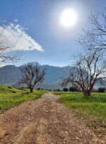 طبیعت زیبای «امامزاده جعفر» در گچساران طبیعت زیبای «امامزاده جعفر» در گچساران