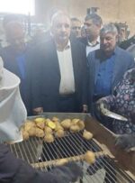 بازدید اعضای کمیسیون کشاورزی مجلس از سردخانه‌های نگهداری سیب‌زمینی در بروجن/ ممنوعیت صادرات سیب زمینی ادامه دارد