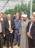 بازدید رئیس کمیسیون کشاورزی از گلخانه فاضل در سفیددشت