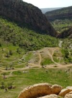 تابلوی چشم‌نواز طبیعت در «گناوه لری» گچساران+ تصاویر