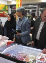 تشدید نظارت بازرسان صمت بر واحدهای صنفی گچساران/ وقتی صنوف متخلف اعمال قانون شدند+ تصاویر و فیلم