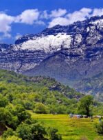 تلچگاه؛ تاج طبیعت کهگیلویه و بویراحمد+ فیلم