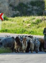 سفری رؤیایی به دهستان بی‌بی حکیمه