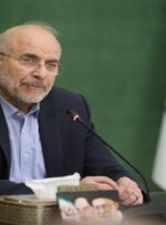 حل مشکلات پسماند، آب و راه شمال کشور نیازمند نگاه منطقه‌ای و بهره‌گیری از ظرفیت مولدسازی است