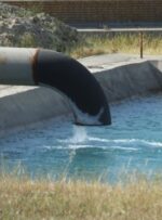 دشت 3 هزار هکتاری «خان احمد» چشمانتظار آبرسانی+ تصاویر دشت 3 هزار هکتاری «خان احمد» چشمانتظار آبرسانی+ تصاویر