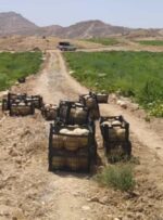 صدای کشاورزان خیرآباد گچساران هم درآمد+ تصاویر صدای کشاورزان خیرآباد گچساران هم درآمد+ تصاویر