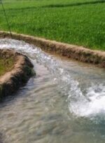 قطع مکرر برق چاه‌های کشاورزی تهدیدی جدی برای امنیت غذایی است