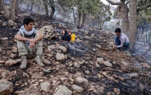 «کوه مورد» در کهگیلویه و بویراحمد آرام گرفت