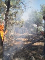 آتشسوزی ارتفاعات «مارین» گچساران مهار شد آتشسوزی ارتفاعات «مارین» گچساران مهار شد