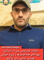 حملات فرسایشی یمن به اسرائیل؛ پهپادهای «خاموش» با پرواز موج‌زن، تهدیدی نمادین برای تل‌آویو