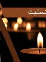 پیام تسلیت رئیس جهاددانشگاهی به دکتر غلامعلی حداد عادل