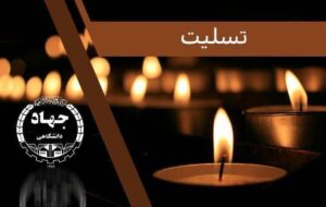 پیام تسلیت رئیس جهاددانشگاهی به دکتر غلامعلی حداد عادل