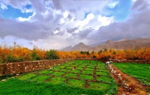 آخرین نفسهای پاییز در روستای دیل گچساران آخرین نفسهای پاییز در روستای دیل گچساران