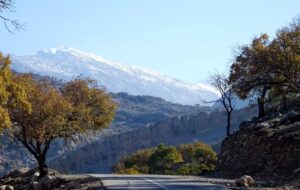 چشمانداز زیبای برفی در «کوه خامی» چشمانداز زیبای برفی در «کوه خامی»