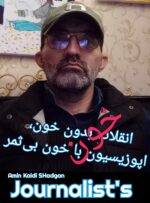 انقلاب بدون خون، اپوزیسیون با خون بی‌ثمر