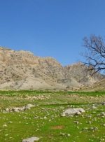 جلوههای تماشایی طبیعت گچساران جلوههای تماشایی طبیعت گچساران